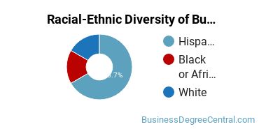 Racial-ethnic diversity of Business Support & Assistance majors at Lee College