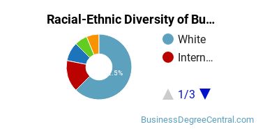 Racial-ethnic diversity of Business Administration & Management majors at Lee University