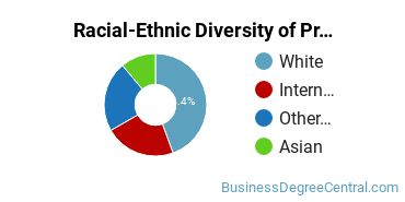 Racial-Ethnic Diversity of Project Management Majors at Lehigh University