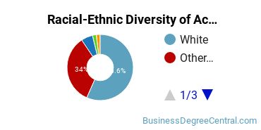 Racial-Ethnic Diversity of Accounting Majors at Liberty University