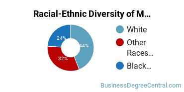Racial-ethnic diversity of Management Information Systems majors at Liberty University