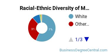 Racial-ethnic diversity of Management Information Systems majors at Liberty University