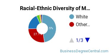 Racial-Ethnic Diversity of Marketing/Marketing Management, General Majors at Liberty University