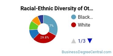 Racial-Ethnic Diversity of Other Marketing Majors at LIM College