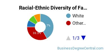 Racial-Ethnic Diversity of Fashion Merchandising Majors at LIM College