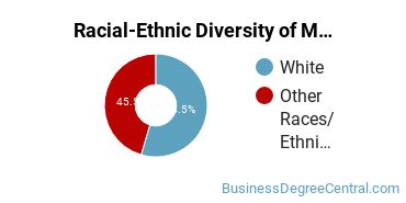 Racial-Ethnic Diversity of Marketing/Marketing Management, General Majors at Lincoln Memorial University