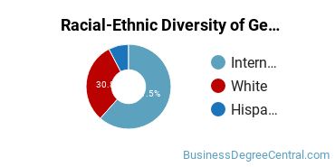 Racial-Ethnic Diversity of General Economics Majors at Lindenwood University