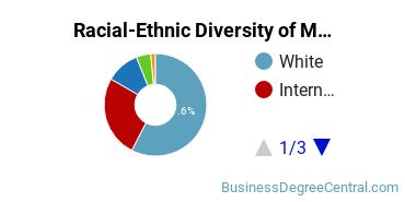 Racial-Ethnic Diversity of Marketing/Marketing Management, General Majors at Lindenwood University