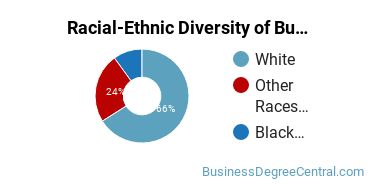 Racial-ethnic diversity of Business Administration & Management majors at Lindsey Wilson College