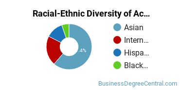 Racial-Ethnic Diversity of Accounting Majors at Long Island Business Institute