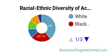 Racial-Ethnic Diversity of Accounting Majors at LIU Post