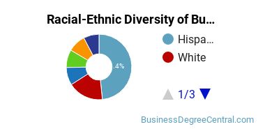 Racial-ethnic diversity of Business Administration & Management majors at Los Angeles City College