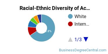 Racial-Ethnic Diversity of Accounting Majors at Louisiana State University and Agricultural & Mechanical College