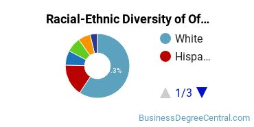 Racial-Ethnic Diversity of Office Administration Majors at Loyola University Chicago