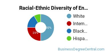 Racial-Ethnic Diversity of Entrepreneurship Majors at Loyola University Chicago