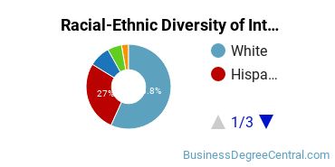 Racial-Ethnic Diversity of International Business/Trade/Commerce Majors at Loyola University Chicago
