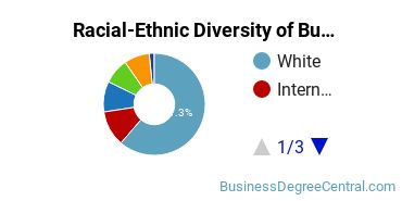 Racial-Ethnic Diversity of Business Economics Majors at Loyola University Chicago