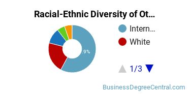 Racial-Ethnic Diversity of Other Marketing Majors at Loyola University Chicago