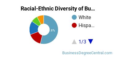 Racial-Ethnic Diversity of Business Economics Majors at Loyola University New Orleans