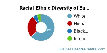 Racial-ethnic diversity of Business Administration & Management majors at Lyon College