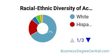 Racial-Ethnic Diversity of Accounting Majors at Manhattan College