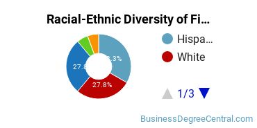 Racial-Ethnic Diversity of Finance Majors at Manhattanville College