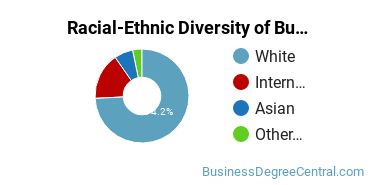 Racial-Ethnic Diversity of Business Economics Majors at Marquette University