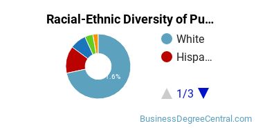 Racial-Ethnic Diversity of Public Relations Majors at Marquette University