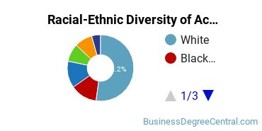 Racial-Ethnic Diversity of Accounting Majors at Massachusetts Bay Community College