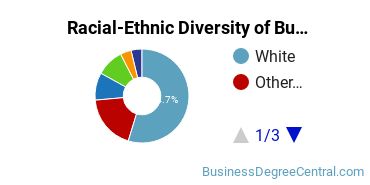 Racial-ethnic diversity of Business Administration & Management majors at Massachusetts Bay Community College
