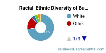 Racial-ethnic diversity of Business Administration & Management majors at Mayville State University