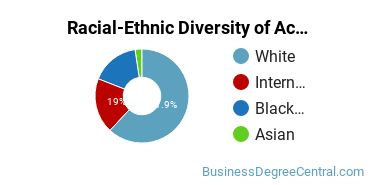 Racial-Ethnic Diversity of Accounting Majors at McNeese State University