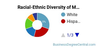 Racial-Ethnic Diversity of Marketing/Marketing Management, General Majors at Menlo College