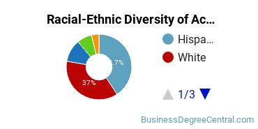 Racial-Ethnic Diversity of Accounting Majors at Mercy College