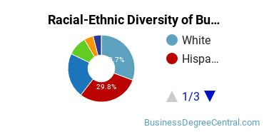 Racial-ethnic diversity of Business Administration & Management majors at Mercy University