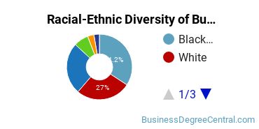 Racial-ethnic diversity of Business Administration & Management majors at Mercy University