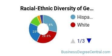 Racial-Ethnic Diversity of General Human Resources Management/Personnel Administration Majors at Mercy College