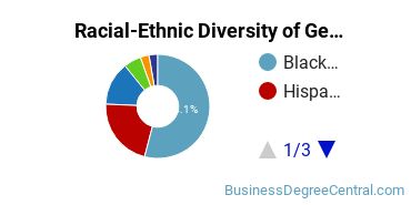 Racial-Ethnic Diversity of General Business/Commerce Majors at Metropolitan College of New York