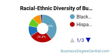 Racial-Ethnic Diversity of Business Management & Marketing Majors at Metropolitan College of New York