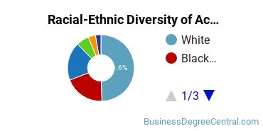 Racial-Ethnic Diversity of Accounting Majors at Metropolitan State University