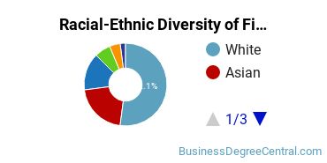 Racial-Ethnic Diversity of Finance Majors at Metropolitan State University