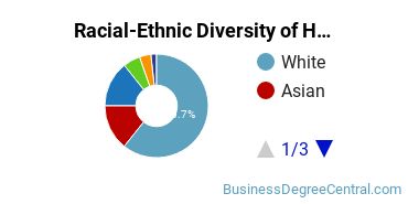 Racial-ethnic diversity of Human Resource Management majors at Metropolitan State University