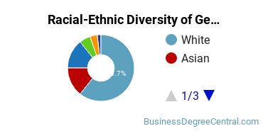 Racial-Ethnic Diversity of General Human Resources Management/Personnel Administration Majors at Metropolitan State University