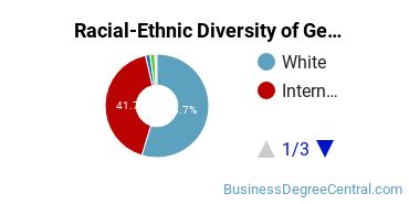 Racial-Ethnic Diversity of General Economics Majors at Miami University - Oxford