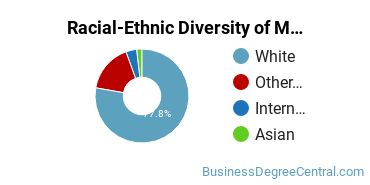 Racial-ethnic diversity of Management Information Systems majors at Miami University-Oxford