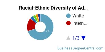 Racial-Ethnic Diversity of Advertising Majors at Michigan State University