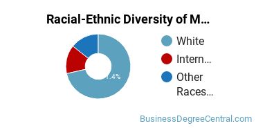 Racial-Ethnic Diversity of Marketing/Marketing Management, General Majors at Michigan Technological University
