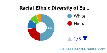 Racial-ethnic diversity of Business Administration & Management majors at Mid-America Christian University