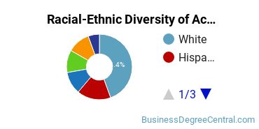 Racial-Ethnic Diversity of Accounting Technology/Technician and Bookkeeping Majors at Minneapolis Community and Technical College