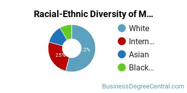 Racial-ethnic diversity of Management Information Systems majors at Minot State University